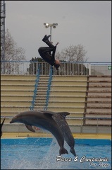 Marineland - Dauphins - Spectacle 17h00 - 080