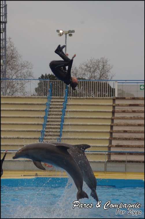 Marineland - Dauphins - Spectacle 17h00 - 080