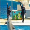 Marineland - Dauphins -Spectacle 14h30 - 008
