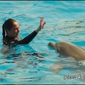 Marineland - Dauphins -Spectacle 14h30 - 009