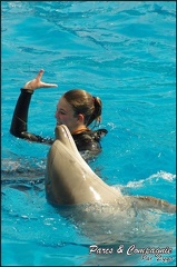 Marineland - Dauphins -Spectacle 14h30 - 010