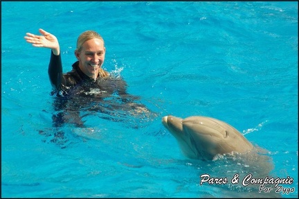 Marineland - Dauphins -Spectacle 14h30 - 011