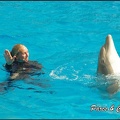 Marineland - Dauphins -Spectacle 14h30 - 012