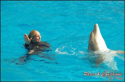 Marineland - Dauphins -Spectacle 14h30 - 012