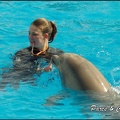 Marineland - Dauphins -Spectacle 14h30 - 013