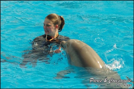 Marineland - Dauphins -Spectacle 14h30 - 013