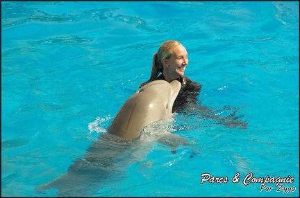 Marineland - Dauphins -Spectacle 14h30 - 014