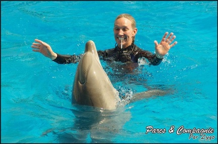 Marineland - Dauphins -Spectacle 14h30 - 015
