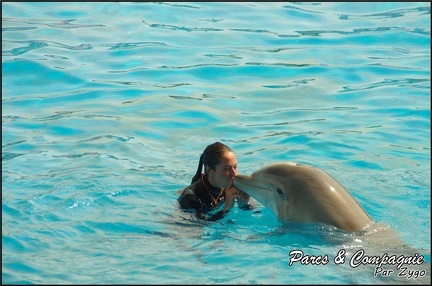 Marineland - Dauphins -Spectacle 14h30 - 016