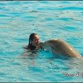 Marineland - Dauphins -Spectacle 14h30 - 017