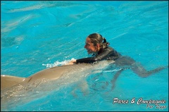 Marineland - Dauphins -Spectacle 14h30 - 023