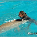 Marineland - Dauphins -Spectacle 14h30 - 023