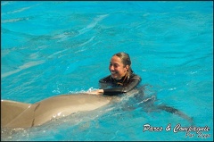 Marineland - Dauphins -Spectacle 14h30 - 024