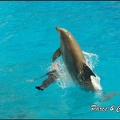 Marineland - Dauphins -Spectacle 14h30 - 025