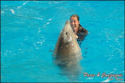 Marineland - Dauphins -Spectacle 14h30 - 026