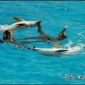Marineland - Dauphins -Spectacle 14h30 - 027