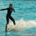 Marineland - Dauphins -Spectacle 14h30 - 030