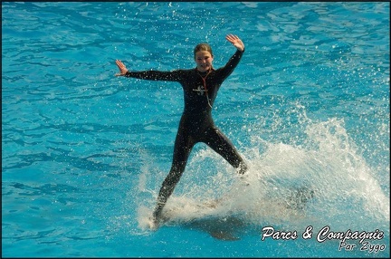 Marineland - Dauphins -Spectacle 14h30 - 031