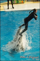 Marineland - Dauphins -Spectacle 14h30 - 032