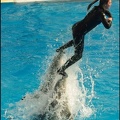Marineland - Dauphins -Spectacle 14h30 - 032