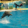 Marineland - Dauphins -Spectacle 14h30 - 035