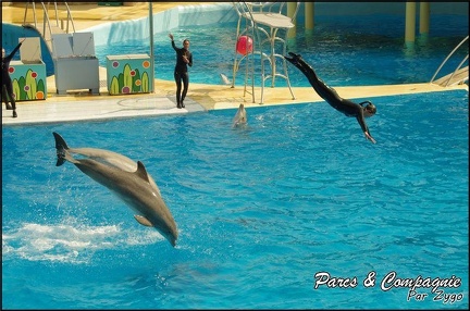 Marineland - Dauphins -Spectacle 14h30 - 037