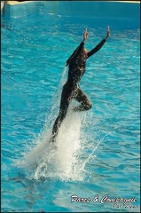 Marineland - Dauphins -Spectacle 14h30 - 038
