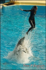 Marineland - Dauphins -Spectacle 14h30 - 039