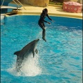 Marineland - Dauphins -Spectacle 14h30 - 040