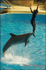 Marineland - Dauphins -Spectacle 14h30 - 041