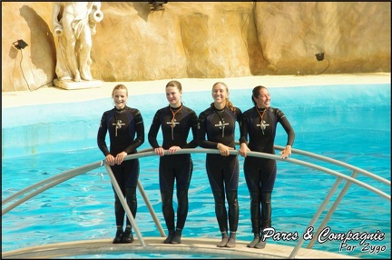 Marineland - Dauphins -Spectacle 14h30 - 055