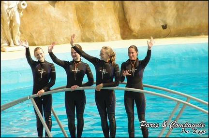 Marineland - Dauphins -Spectacle 14h30 - 056