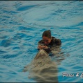 Marineland - Dauphins - Spectacle 17h00 - 099