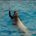 Marineland - Dauphins - Spectacle 17h00 - 101