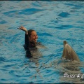 Marineland - Dauphins - Spectacle 17h00 - 103