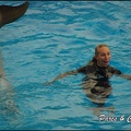 Marineland - Dauphins - Spectacle 17h00 - 104