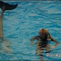 Marineland - Dauphins - Spectacle 17h00 - 105