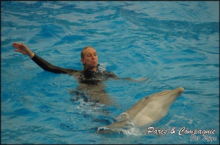 Marineland - Dauphins - Spectacle 17h00 - 106