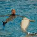 Marineland - Dauphins - Spectacle 17h00 - 107