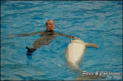 Marineland - Dauphins - Spectacle 17h00 - 107