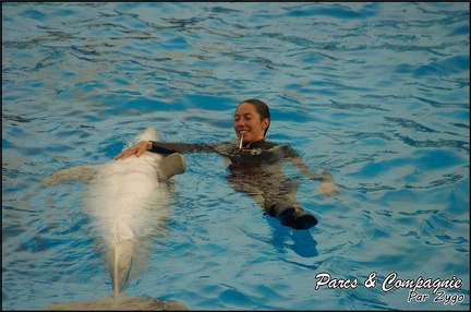 Marineland - Dauphins - Spectacle 17h00 - 108