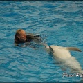 Marineland - Dauphins - Spectacle 17h00 - 109