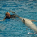 Marineland - Dauphins - Spectacle 17h00 - 110