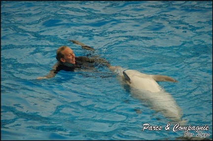 Marineland - Dauphins - Spectacle 17h00 - 110
