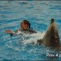 Marineland - Dauphins - Spectacle 17h00 - 111