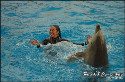 Marineland - Dauphins - Spectacle 17h00 - 112