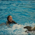 Marineland - Dauphins - Spectacle 17h00 - 113