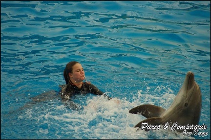 Marineland - Dauphins - Spectacle 17h00 - 113