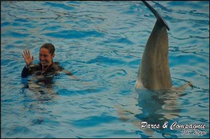 Marineland - Dauphins - Spectacle 17h00 - 116