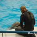 Marineland - Dauphins - Spectacle 17h00 - 118
